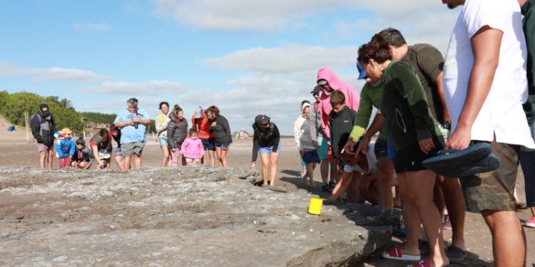 Actividad del Museo de Ciencias Naturales Vicente Di Martino