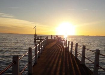 Pesca en Sauce Grande