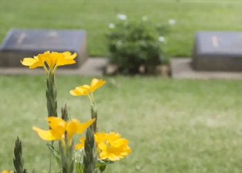 Cementerio Monte Hermoso