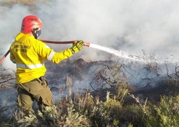 Incendio en La serena sauce grande