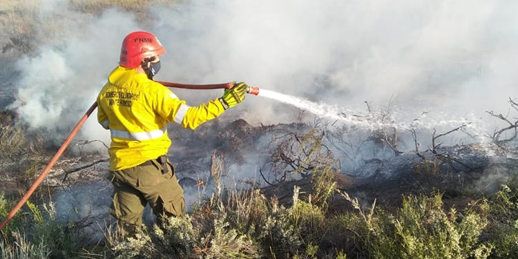 Incendio en La serena sauce grande