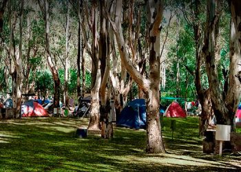 Habilitan créditos para sectores de Cultura y Turismo. Conocé los beneficios y cómo anotarse