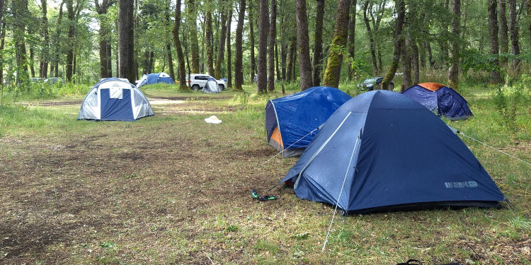 Camping habilitados monte hermoso