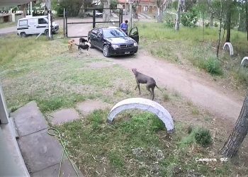 Usurpación en Monte Hermoso Luciana D'Alessio nuevas pruebas