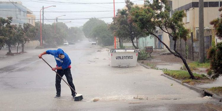 limpieza y arreglos después del temporal