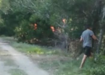 Incendio en Sauce Grande