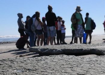 Visitas guiadas a la reserva natural Monte Hermoso Pehuen Co horarios