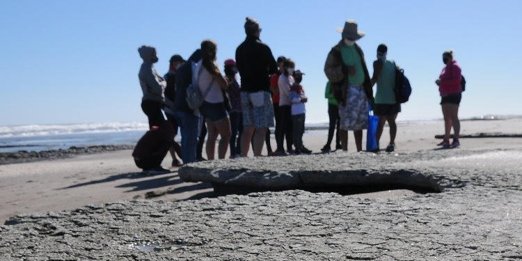 Visitas guiadas a la reserva natural Monte Hermoso Pehuen Co horarios