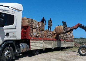Entrega de material reciclado en Monte Hermoso
