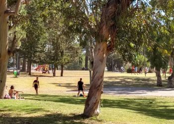 Plaza parque Monte Hermoso