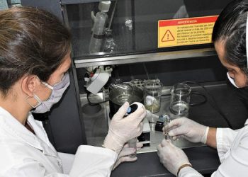 Vacuna Covid desarrollo argentino