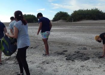 Visitas a la reserva natural Monte Hermoso