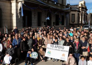General La Madrid cultivo de cannabis