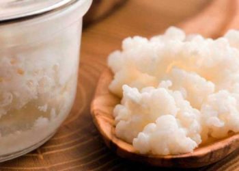 Kefir como preparalo