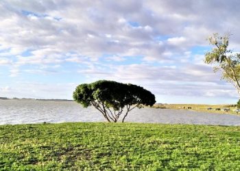 Laguna Sauce Grande: valioso punto alternativo para disfrutar de las bellezas naturales que destacan a Monte Hermoso