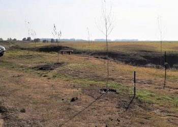 Cascada Cifuentes mejoras Coronel Dorrego