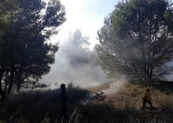 Incendio forestal en Sauce Grande
