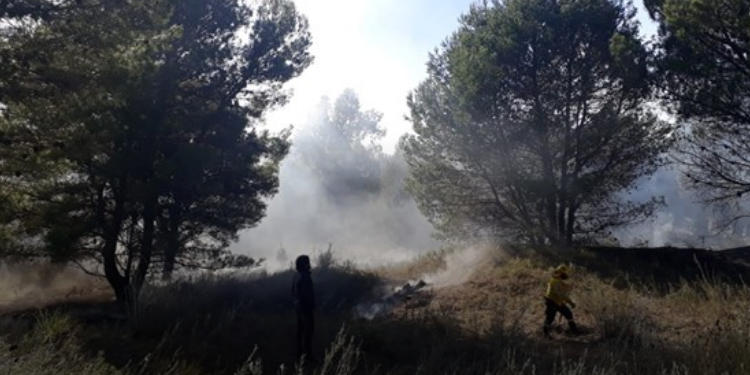 Incendio forestal en Sauce Grande