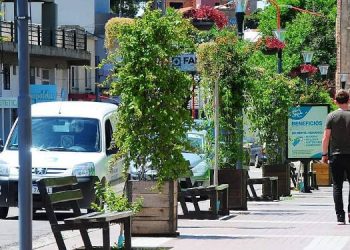 Breves de interés: Cursos para adultos mayores; la UPSO convoca a docentes invitados; GIRSU recicla telgopor también