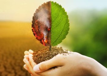 Reducir la huella de carbono: la única forma de luchar contra el cambio climático