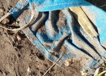 Contaminación de microplásticos en las playas