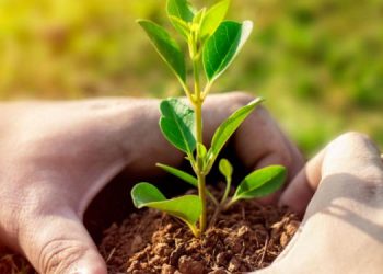 Feria de emprendedores verdes en Villarino 2021