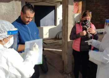 Informe Covid 13/6/21. Preocupa el sostenido nivel de contagios en la ciudad. Más vacunas, menos vuelos