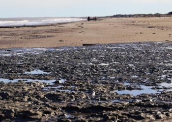 Vacaciones de invierno: Se realizan las últimas visitas guiadas a las huellas de 7 mil años de antigüedad
