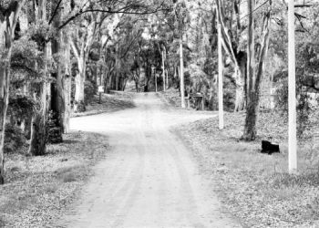 Camino en Sauce Grande