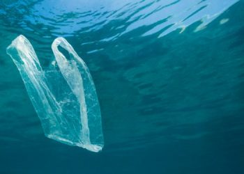 Día Internacional libre de Bolsas de plástico