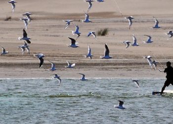Vacaciones de invierno en Monte Hermoso