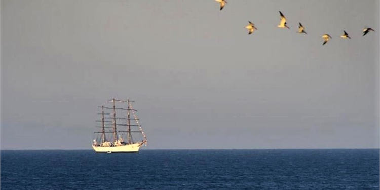 Fragata libertad en Claromecó