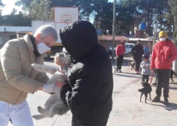 Vacunación antirrábica en Monte Hermoso