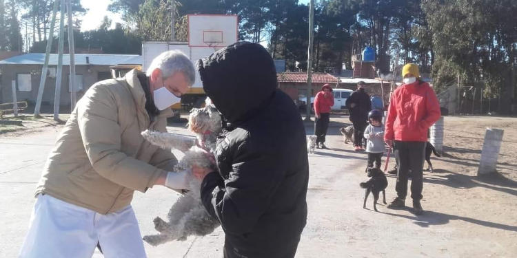 Vacunación antirrábica en Monte Hermoso