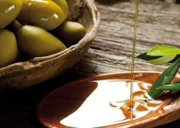 ¿Qué le falta al sudoeste bonaerense para poder lograr una marca propia? La opinión de especialistas