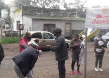 jornada de castracion de mascotas