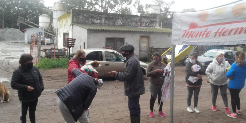 jornada de castracion de mascotas