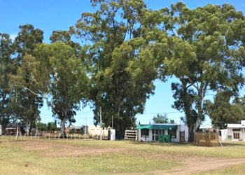 Los Eucaliptos Coronel Dorrego Monte Hermoso