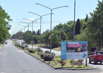 Pavimentación Avenida Alfonsin