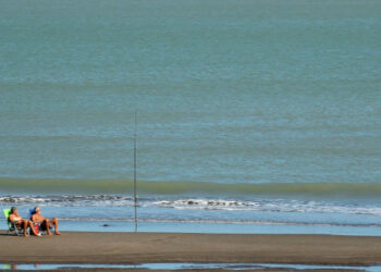 Playa de Monte Hermoso clima fin de semana