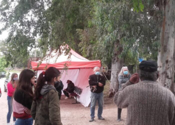 Jornada de castración de mascotas