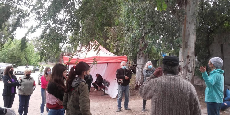 Jornada de castración de mascotas