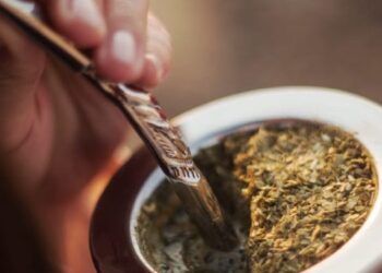 Fin de la polémica: ¿Sirven las infusiones para hidratarnos? ¿Es lo mismo tomar agua que mate?