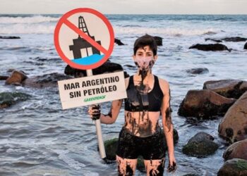 Una fiscal se pronunció a favor de los ambientalistas opuestos a la exploración petrolera en las costas bonaerenses