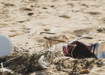 Censo de basura en la playa