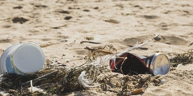 Censo de basura en la playa