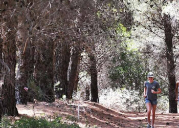 Paseo del Pinar actividades