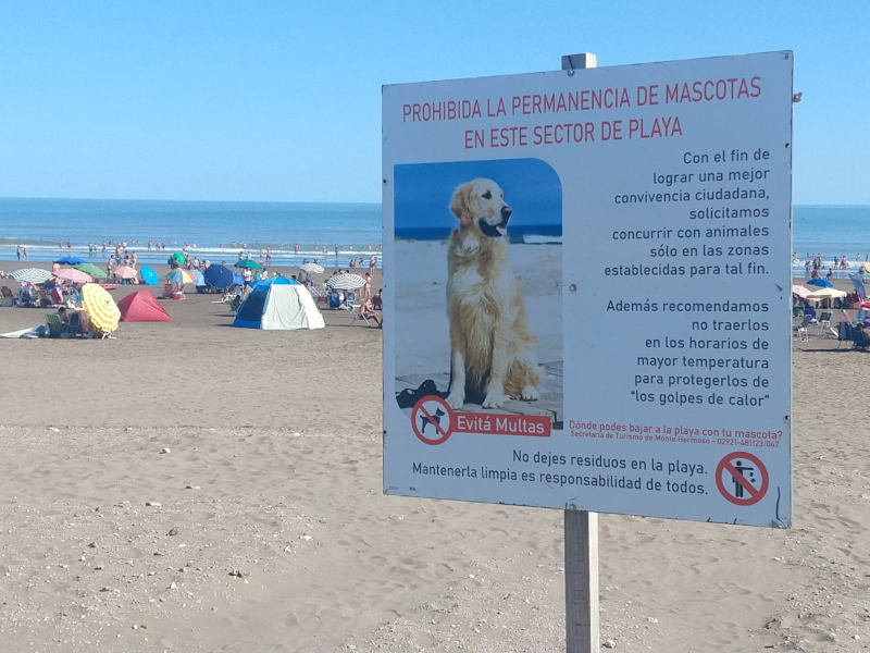 Prohibidas las mascotas en la playa