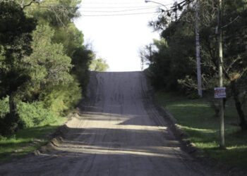 Sauce grande sin luz