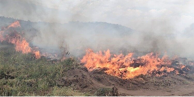 Incendio campo Sauce Grande